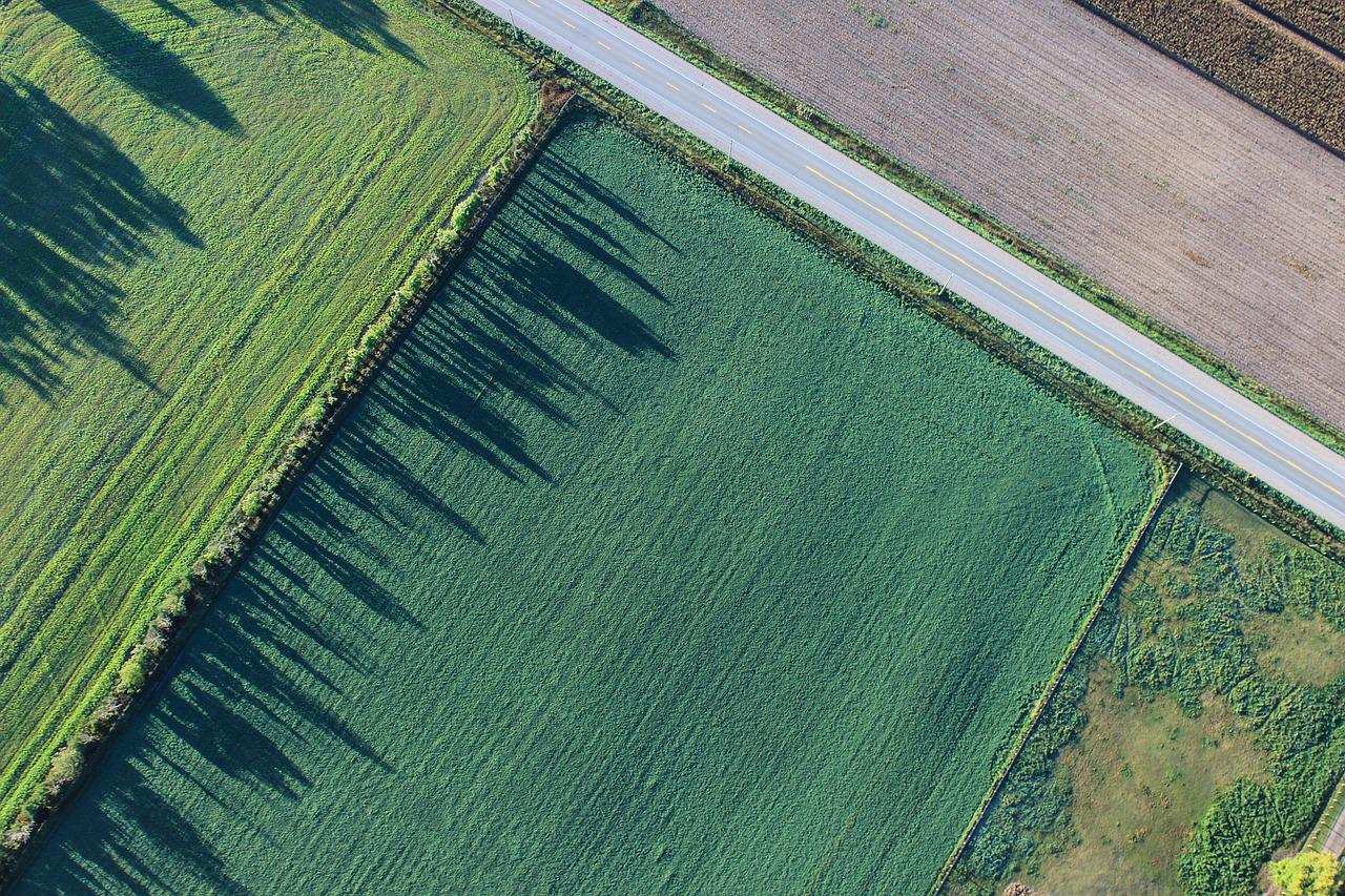 „Magyarország szántóterületének egyharmadán fel kellene hagyni a termeléssel”