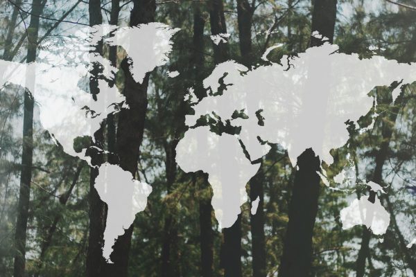 Elindult a Zöld Hang nemzetközi lapszemléje