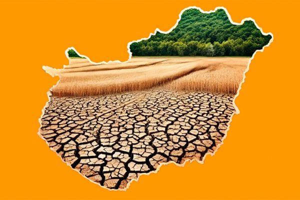 Magyar Tudományos Akadémia: 2050-ig 150 százalékkal nőhet a többlethalálozás a klímaváltozás miatt