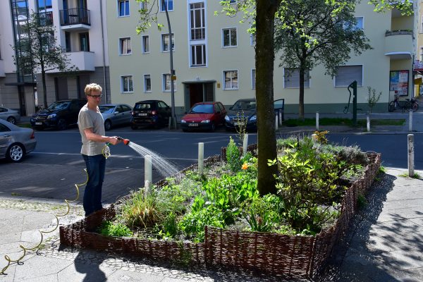 Szomjaznak a fák, locsolj te is Budapesten!