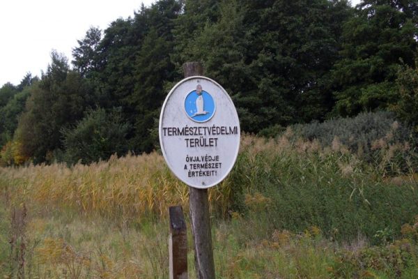 Magyarország számokban: védett területek, erdők