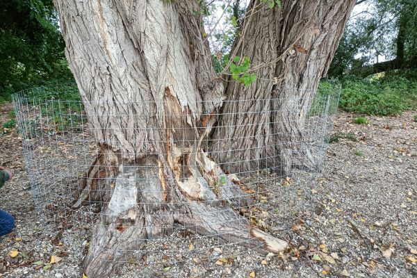Zöld szívvel Ceglédért: így dolgoznak a Gerje-menti önkéntesek