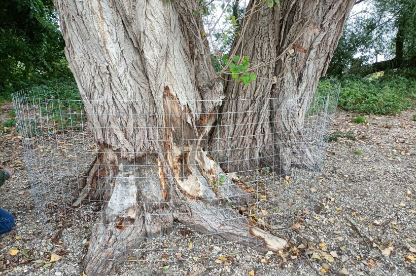 Zöld szívvel Ceglédért: így dolgoznak a Gerje-menti önkéntesek