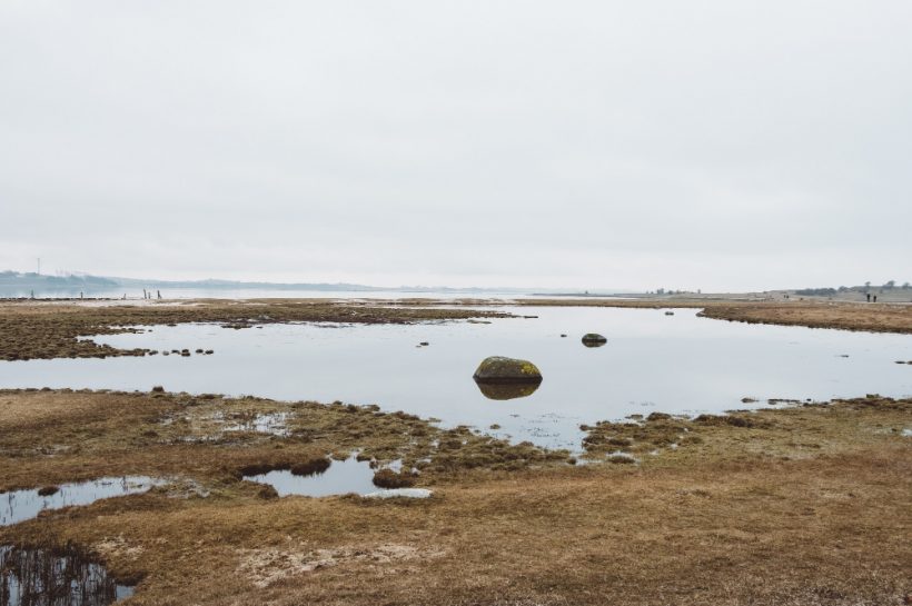 Vizet a tájba – 900 gazda elindíthatja a változást?