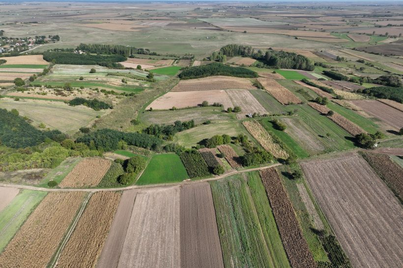Szendőfi Balázs filmje egy eltűnő vízivilágról