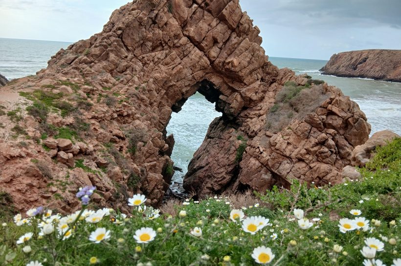 Marokkói példa: látványos eredményt hozott a nejlonzacskók betiltása