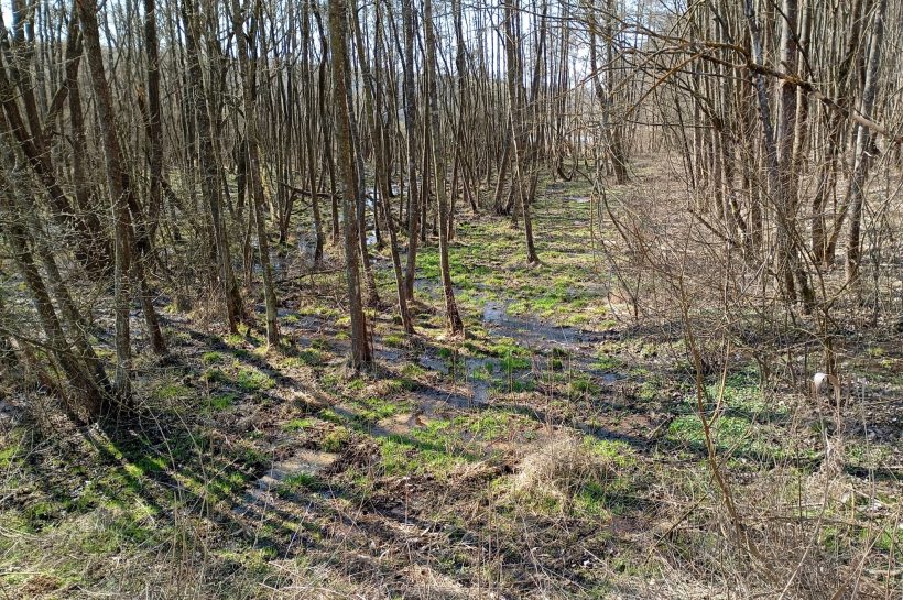 Civilek a biodiverzitás védelmében: talpalatnyi vadonokból élhető jövő