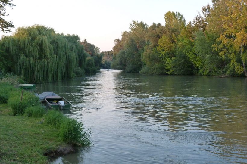 Kivágják, megmérgezik, felgyújtják: vandálok háborúznak a váci Duna-part fáival
