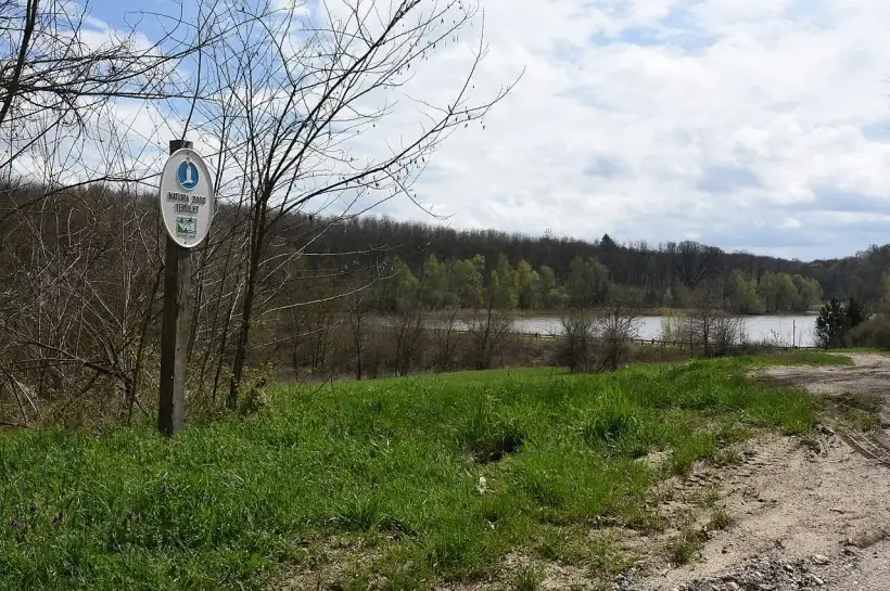 WWF: Nemzeti parkjaink erdei égnek a biomassza-erőművekben
